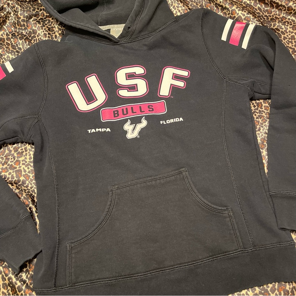 USF Hoodie Russel Athletic - Picture 8 of 14